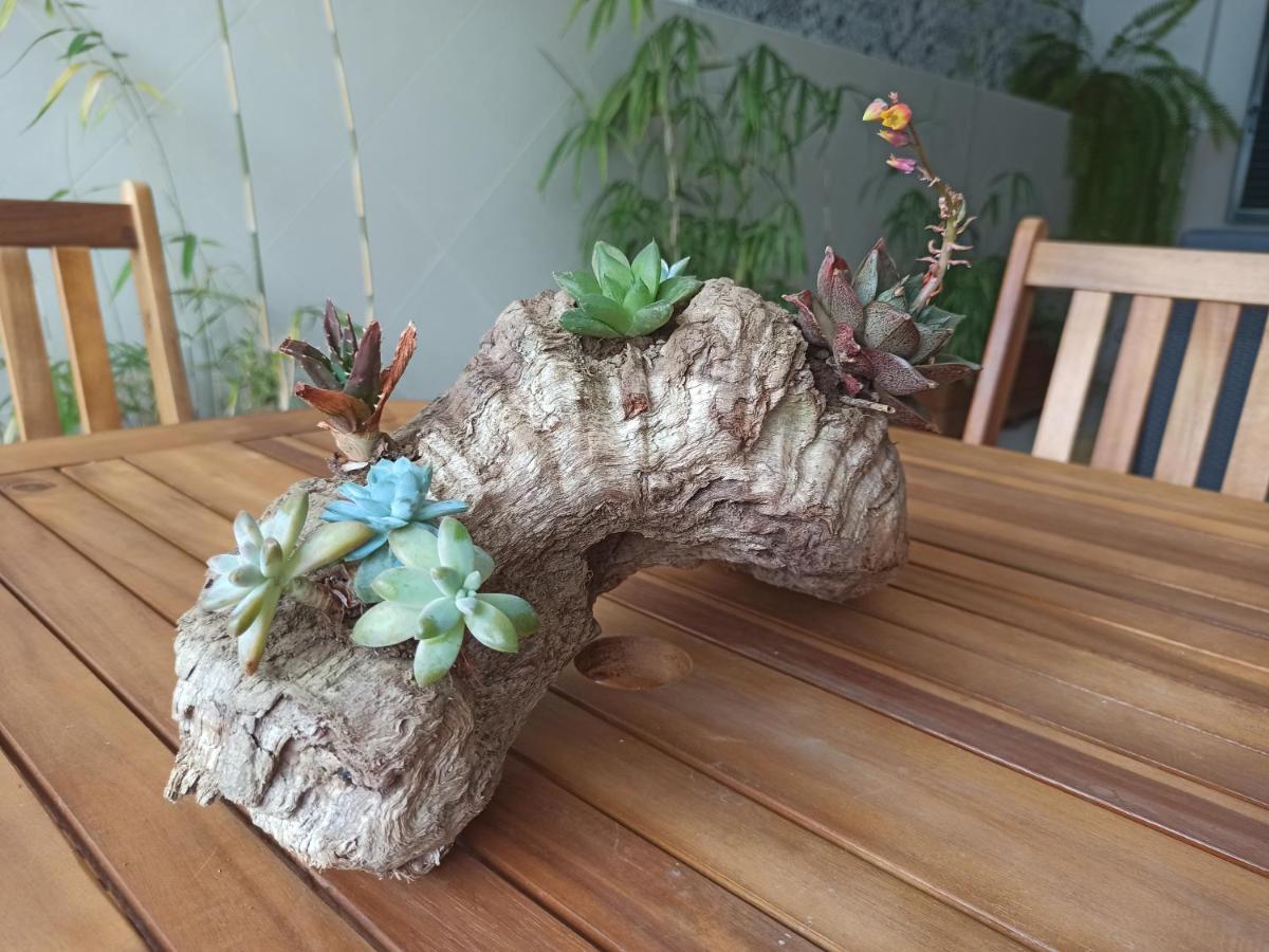 House Fifteen ออร์ตา ภายนอก รูปภาพ